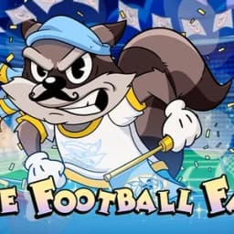 Le Football Fan
